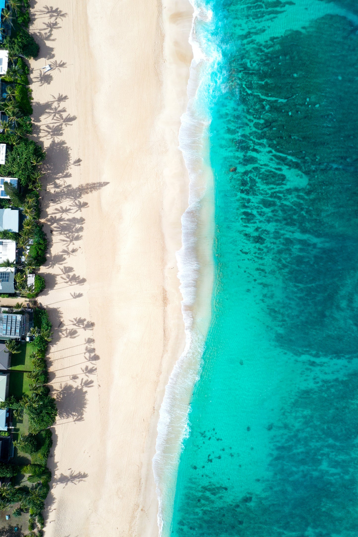 North Shore Summer