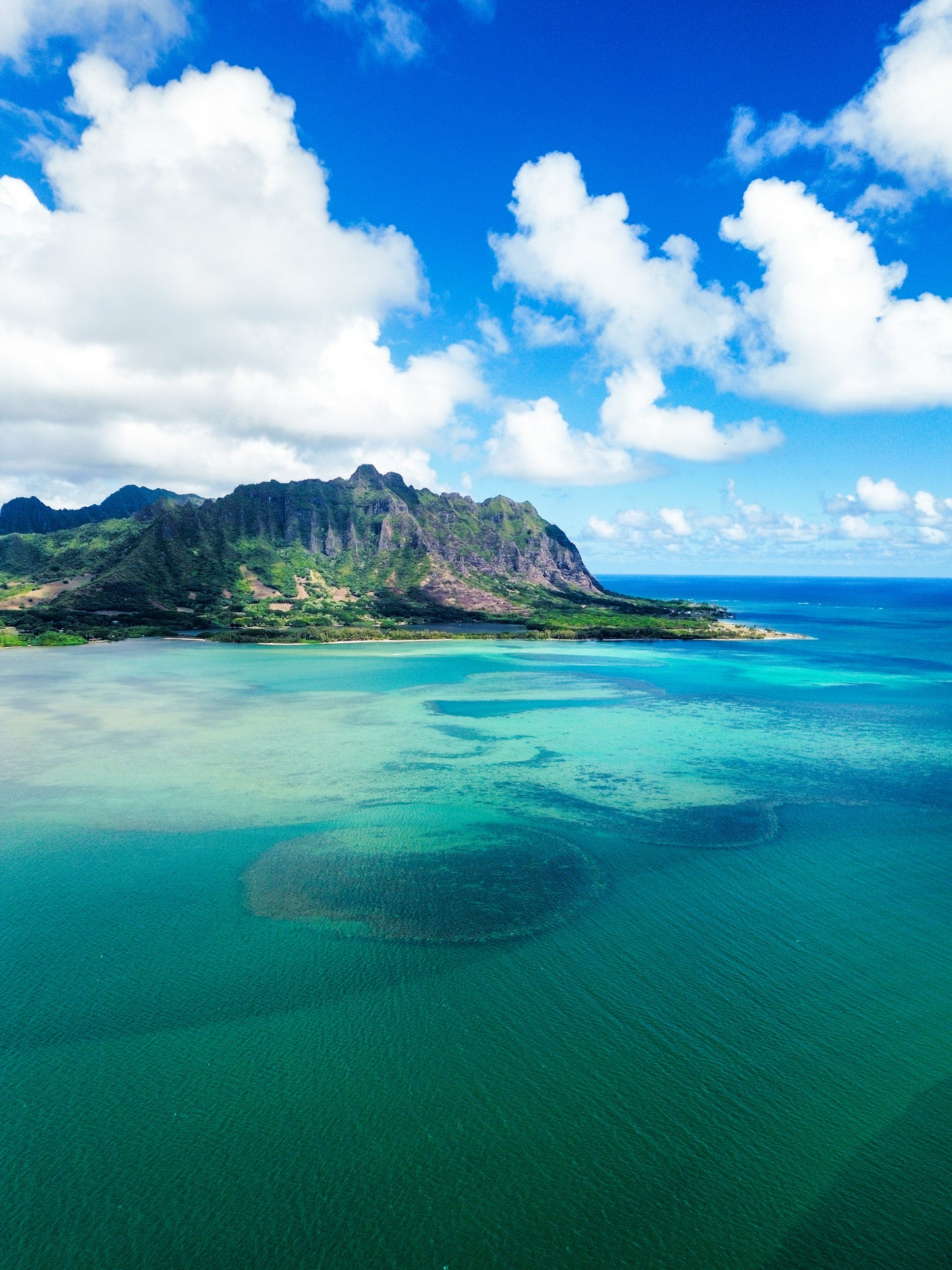 Windward Wonder
