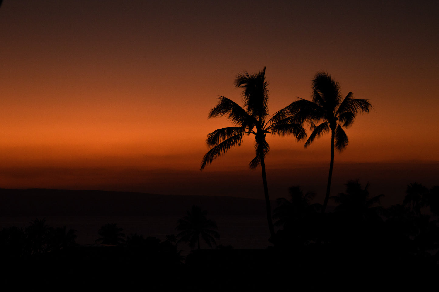 Maui Glow