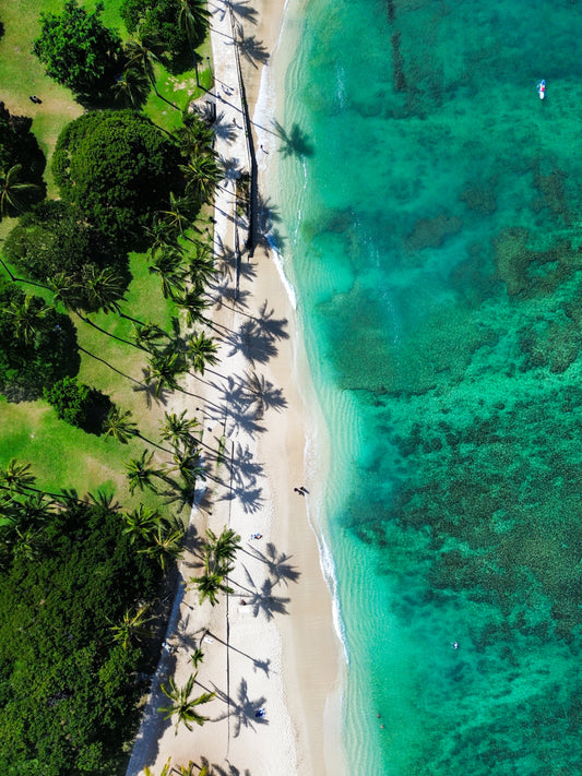 Waikiki